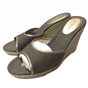 Ann Taylor Wedge Espadrille Sandals Women's Size 9M Olive Green Canvas Metallic